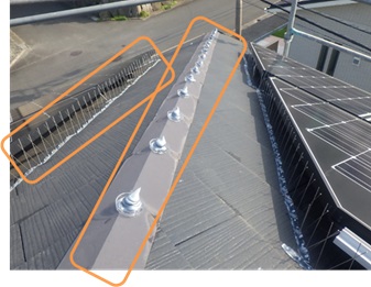鳩駆除　筑紫野市