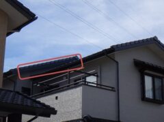 鳩駆除　筑紫郡