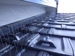 鳩駆除　筑紫郡