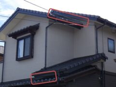 鳩駆除　筑紫郡