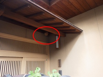 スズメバチ駆除　宇部市