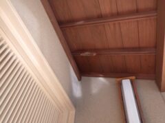 スズメバチ駆除　宇部市