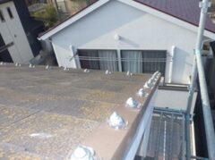 鳩駆除　宇佐市