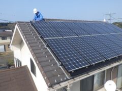 鳩駆除　宇佐市