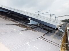 鳩駆除　宇佐市