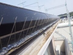 防鳥スパイク　福岡市