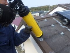 鳩駆除　宇佐市