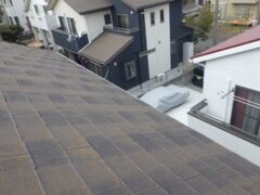 鳩駆除　宇佐市