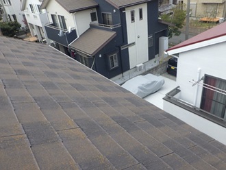 鳩駆除 宇佐市