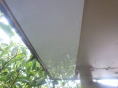 イタチ駆除　宇佐市