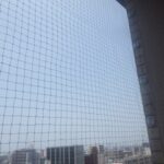 【若宮市】鳩駆除の事例紹介と料金、費用相場について