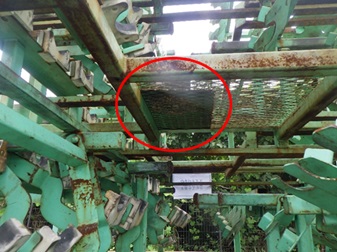 スズメバチ駆除 若松区