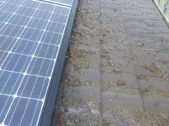 鳩駆除　粕屋郡