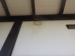スズメバチ駆除　八幡西区