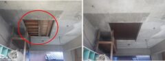 アライグマ駆除　美祢市