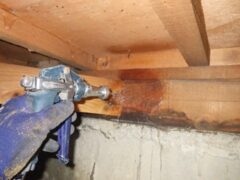 シロアリ駆除　太宰府市