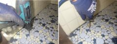 シロアリ駆除　福津市