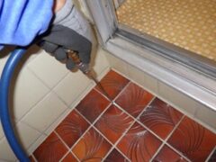 シロアリ駆除　日田市