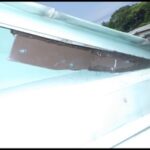 アライグマ駆除　防府市