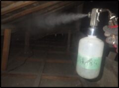 アライグマ駆除　築上郡