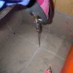 【春日市】シロアリ駆除の事例紹介と料金、費用相場について
