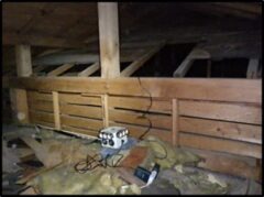 アライグマ駆除　春日市