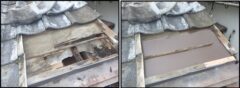 アライグマ駆除　粕屋郡