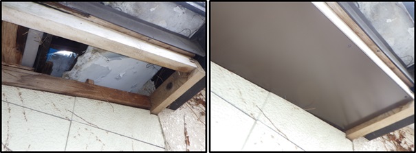 アライグマ駆除　粕屋郡