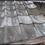 【粕屋郡】アライグマ駆除の事例紹介（瓦屋根の隙間から侵入）と料金、費用相場について