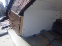 アライグマ駆除　古賀市