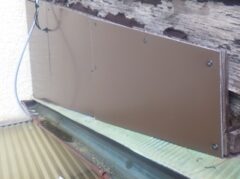 アライグマ駆除　古賀市