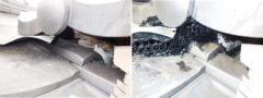 アライグマ駆除　長門市