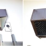 アライグマ駆除　長門市