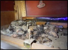 イタチ駆除　添田町