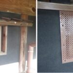【朝倉郡】アライグマ駆除の事例紹介と料金、費用相場について