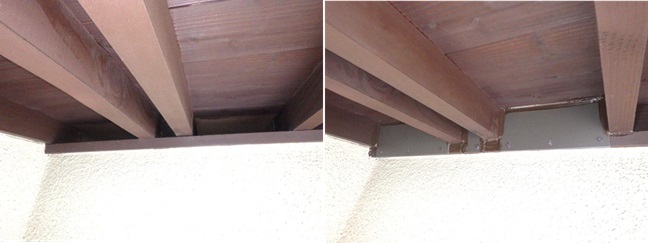 アライグマ駆除 佐賀市