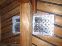 アライグマ駆除　佐賀市