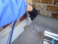 シロアリ駆除　羽アリ　鳥栖市