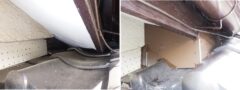 アライグマ駆除　鳥栖市