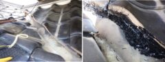 アライグマ駆除　鳥栖市