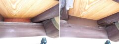 アライグマ駆除　宇佐市