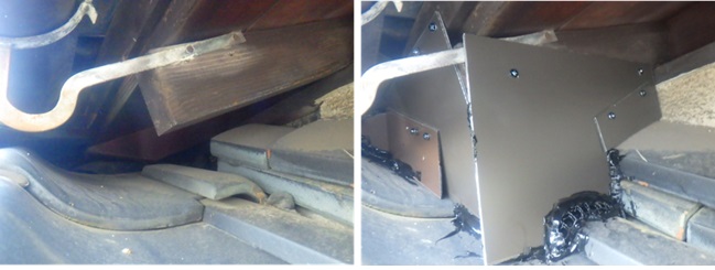 イタチ駆除　新宮町