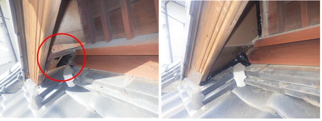 イタチ駆除　新宮町