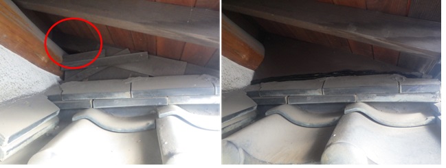 イタチ駆除　新宮町