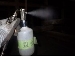 イタチ駆除　新宮町