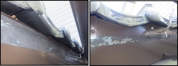 イタチ駆除 赤村