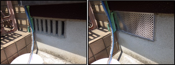 イタチ駆除 赤村