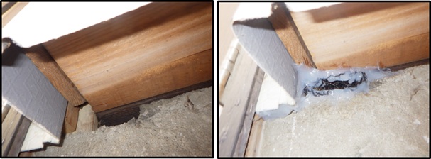 イタチ駆除 赤村