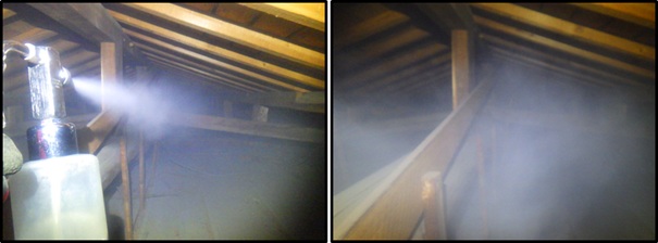 イタチ駆除 赤村