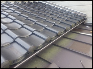 イタチ駆除 赤村